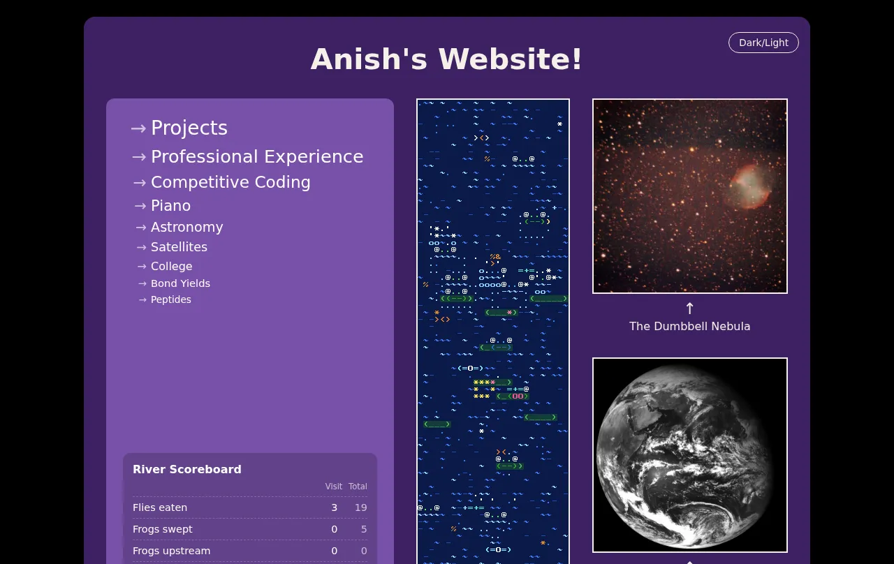 Preview of anish's website