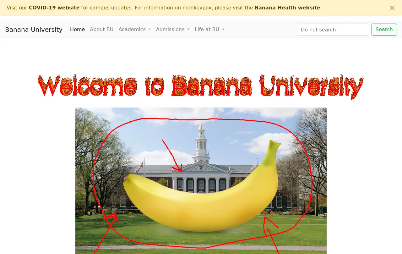 Preview of habiboi's website