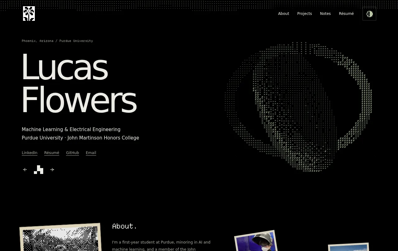 Preview of lucas's website